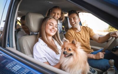 Tips for Driving with Kids or Pets in the Car