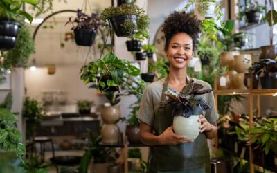 Benefits of Having a Commercial Insurance Plan