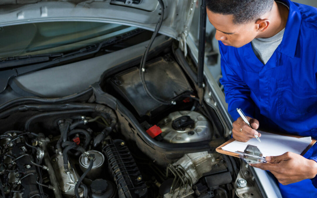 How to Prevent Vermin from Damaging Your Vehicle