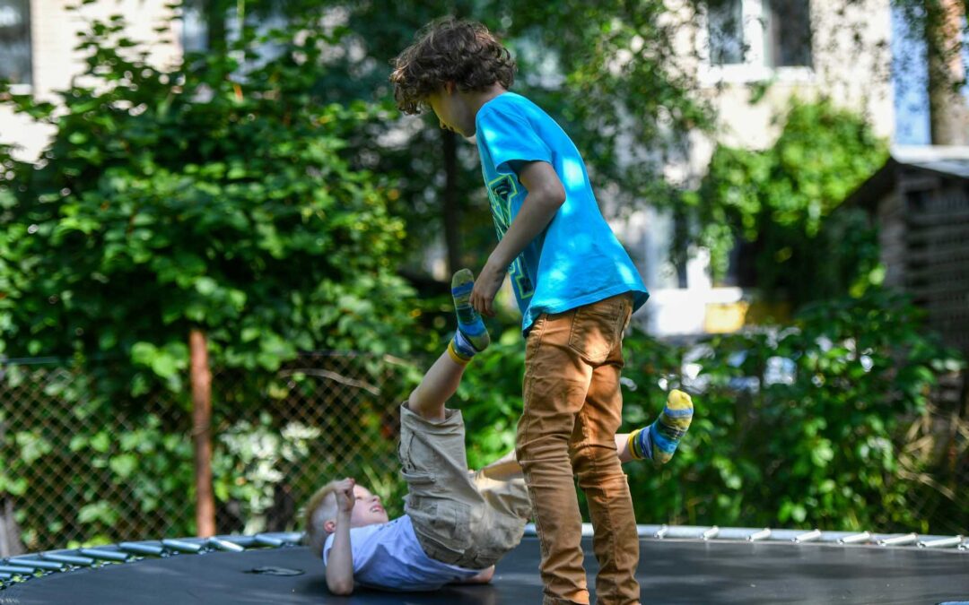 Two boys play on a trampoline in a sunny backyard. One stands, helping the other up with playful energy - staplesagency.com