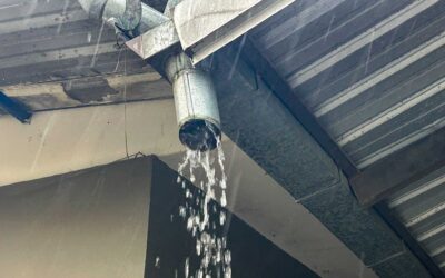 What to Do If Your Gutters or Downspouts Are Damaged