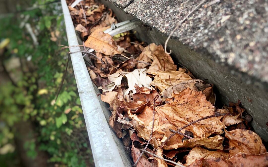 Fall Safety Reminders That Can Impact Your Insurance