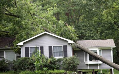 What Happens If a Tree Falls on Your House, Car, or Neighbor’s Property?